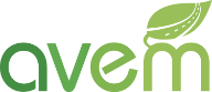 AVEM — Associazione nazionale per lo sviluppo della mobilità elettrica